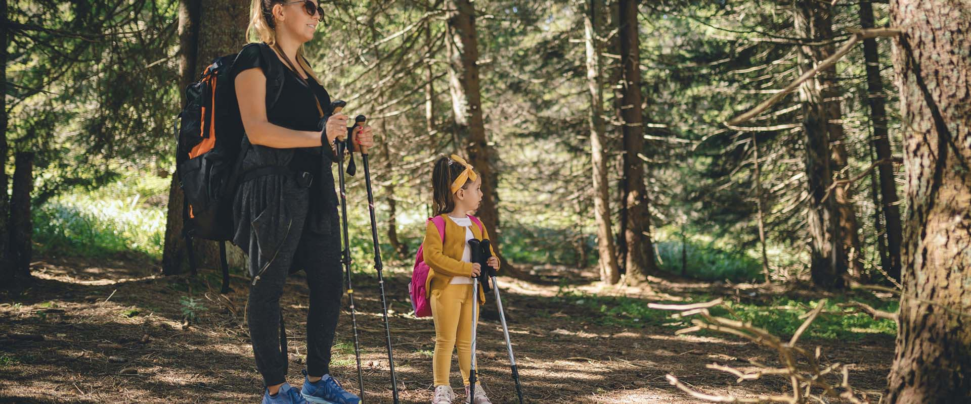 Orcutt Union School District Calendar 2024