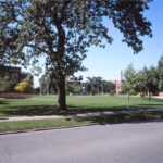 Buildings At 800 842 And 912 Algoma Blvd And 845 Elmwood Ave