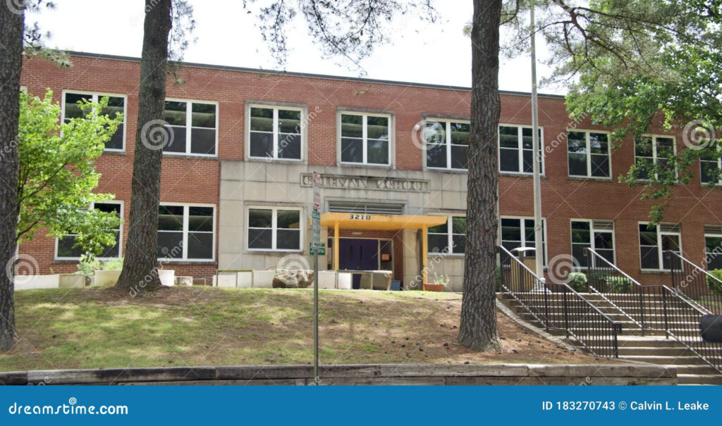 Elementary School Student In Labuan Bajo East Nusa Tenggara Indonesia 