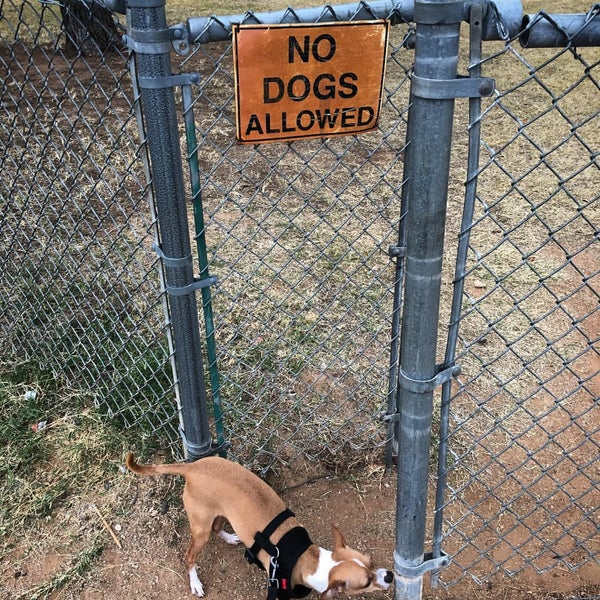 Sandpiper Elementary School 1 Tip From 62 Visitors