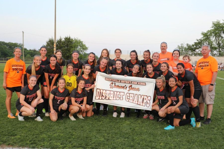 Seth Cameron The Roar