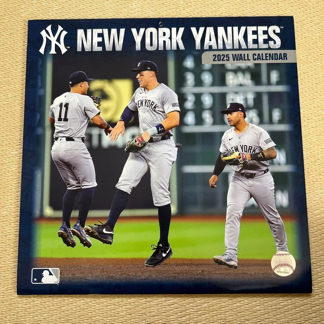 2025 Wall Calendar BRPG2025 2026 Paper Source Family Wall Calendar By Orange Circle Studio Barnes