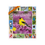 Amazon Audubon Songbirds And Other Backyard Birds Picture A Day Wall Calendar 2025 9781523526314 National Audubon Society Workman Calendars Books