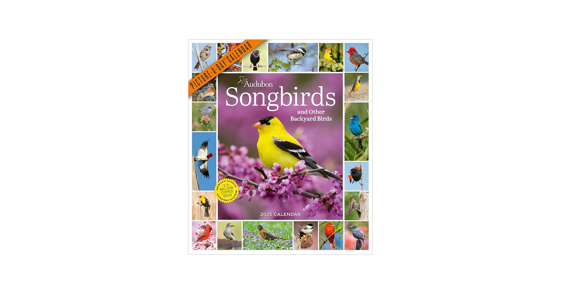 Amazon Audubon Songbirds And Other Backyard Birds Picture A Day Wall Calendar 2025 9781523526314 National Audubon Society Workman Calendars Books