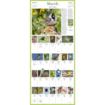 Audubon Songbirds And Other Backyard Birds Picture A Day r Wall Calendar 2025 Paperback Walmart