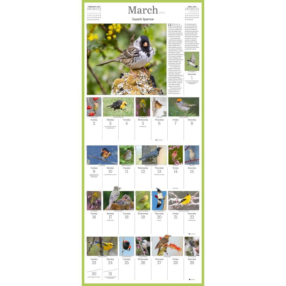 Audubon Songbirds And Other Backyard Birds Picture A Day r Wall Calendar 2025 Paperback Walmart