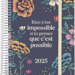 Finocam Spiral Design Calendar 2025 Collection 1 Day To Page January 2025 December 2025 12 Months French Not Possible Amazon au Stationery Office Products