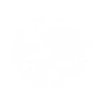 Four Peaks Elementary Home