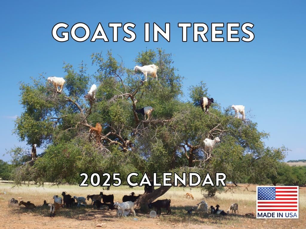 Goats In Trees Calendar 2025 Goat Monthly Wall Calender 12 Month Walmart Business Supplies