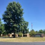 Home Goodridge Elementary School