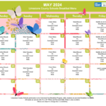 Live Feed Elkmont Elementary School