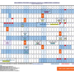 TJBR Trigg Junior Boardriders Upcoming Events